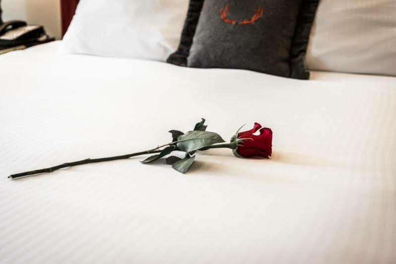Adara Hotel